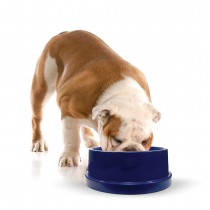 K&H Pet Products Pet Coolin' Bowl 96 ounces Blue 11.5" x 11.5" x 4" - KH2550